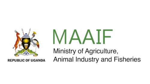 Minister of Agriculture, Animal Industry and Fisheries (MAAIF)